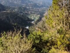 सोलन चेस्टर हिल केस फिर गरमाया, सरकार ने दिए जांच के नए आदेश