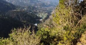 सोलन चेस्टर हिल केस फिर गरमाया, सरकार ने दिए जांच के नए आदेश